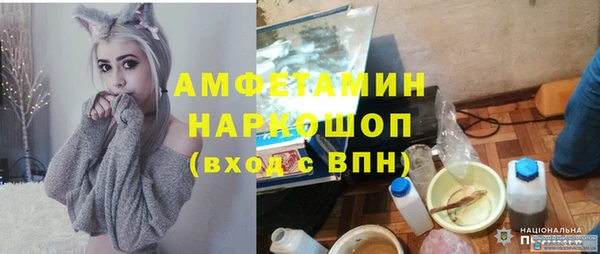 винт Алзамай